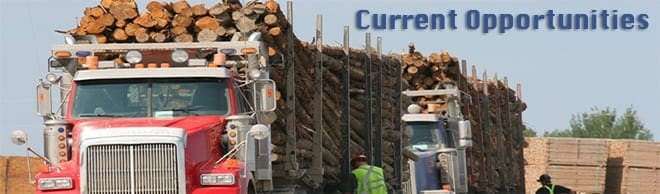 forestry-career-opportunities