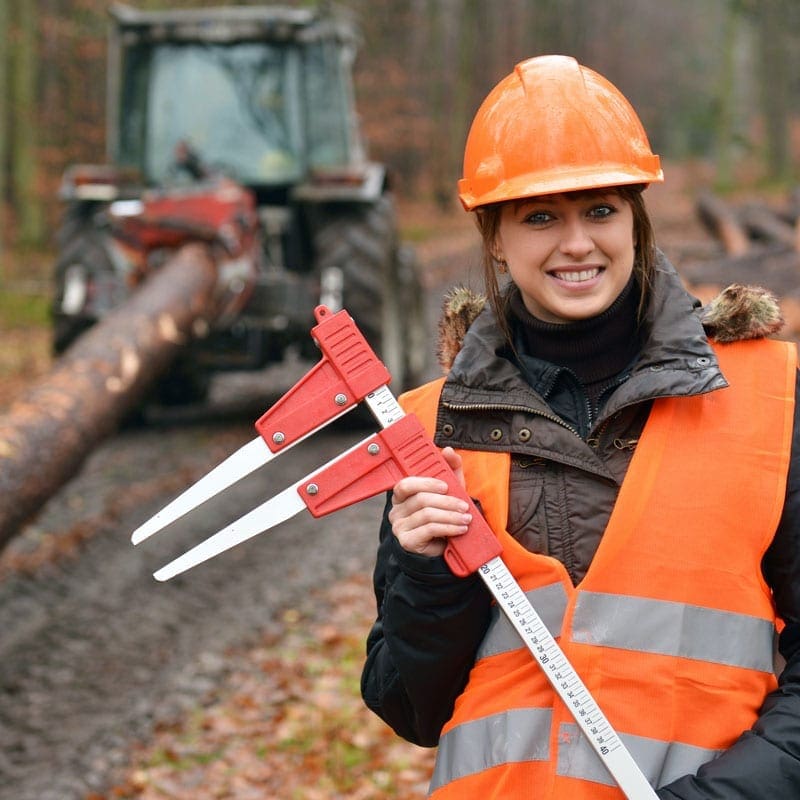 Canada's Largest Forest Industry Personnel Recruiting Firm